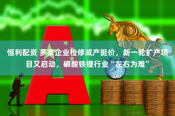 恒利配资 多家企业检修减产挺价，新一轮扩产项目又启动，磷酸铁锂行业“左右为难”